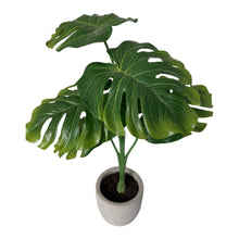 Load image into Gallery viewer, Small Artificial Greenery Arrangement Split Philo in Pot - Realistic, Indoor Fake Monstera Leaves Palm Tree Leaf Potted Plant for Your Office Desk, Bathroom or Bedroom