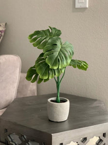 Small Artificial Greenery Arrangement Split Philo in Pot - Realistic, Indoor Fake Monstera Leaves Palm Tree Leaf Potted Plant for Your Office Desk, Bathroom or Bedroom