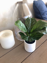 Load image into Gallery viewer, REAL TOUCH FIDDLE LEAF W/CERAMIC POT