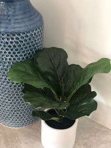 REAL TOUCH FIDDLE LEAF W/CERAMIC POT