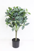 Load image into Gallery viewer, OLIVE LEAF TOPIARY IN PLASTIC POT 24&quot;
