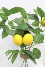 Load image into Gallery viewer, Faux Spring Tabletop Arrangements in Vase Lemon Sprays in glass vase W/ Water Look and Decorative Rocks (set of 2) Realistic Lemon Sprays Decoration for Table Home Centerpieces Kitchen Decor Farmhouse