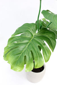 Small Artificial Greenery Arrangement Split Philo in Pot - Realistic, Indoor Fake Monstera Leaves Palm Tree Leaf Potted Plant for Your Office Desk, Bathroom or Bedroom