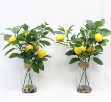 Load image into Gallery viewer, Faux Spring Tabletop Arrangements in Vase Lemon Sprays in glass vase W/ Water Look and Decorative Rocks (set of 2) Realistic Lemon Sprays Decoration for Table Home Centerpieces Kitchen Decor Farmhouse
