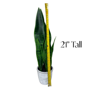 Artificial Sansevieria Faux Plant Mother's in Law Tongue Plant in Pot -Small, Realistic, Indoor Faux Snake Plant 21" Tall for Your Office Desk, Bathroom, Shelf, Kitchen, Bedroom, Living Room Decor