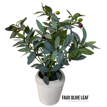 Load image into Gallery viewer, Artificial Olive Leaf in Ceramic Pot 16 Inches - Realistic Fake, Indoor-Outdoor Olive Leaf for Office Desk, Bathroom, Bedroom, Kitchen Table Greenery, Room Décor