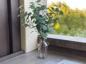 Faux Eucalyptus in Glass Vase