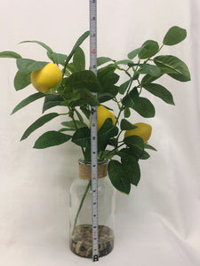 Faux Spring Tabletop Arrangements in Vase Lemon Sprays in glass vase W/ Water Look and Decorative Rocks (set of 2) Realistic Lemon Sprays Decoration for Table Home Centerpieces Kitchen Decor Farmhouse