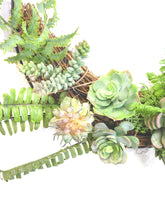 Load image into Gallery viewer, SUCCULENT HALF FERN WREATH