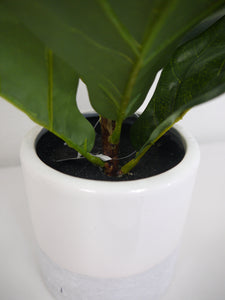 REAL TOUCH FIDDLE LEAF W/CERAMIC POT