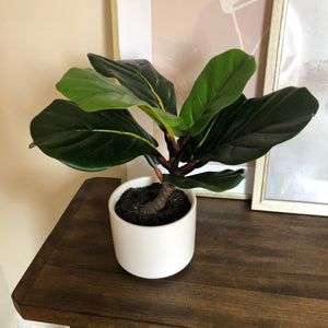 Artificial 13" Natural Touch Fiddle Fig Leaf W/ Ceramic Pot - Small, Realistic Touch, Indoor for Your Office Desk, Bathroom, Kitchen Room Décor