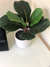 Load image into Gallery viewer, Artificial 13&quot; Natural Touch Fiddle Fig Leaf W/ Ceramic Pot - Small, Realistic Touch, Indoor for Your Office Desk, Bathroom, Kitchen Room Décor